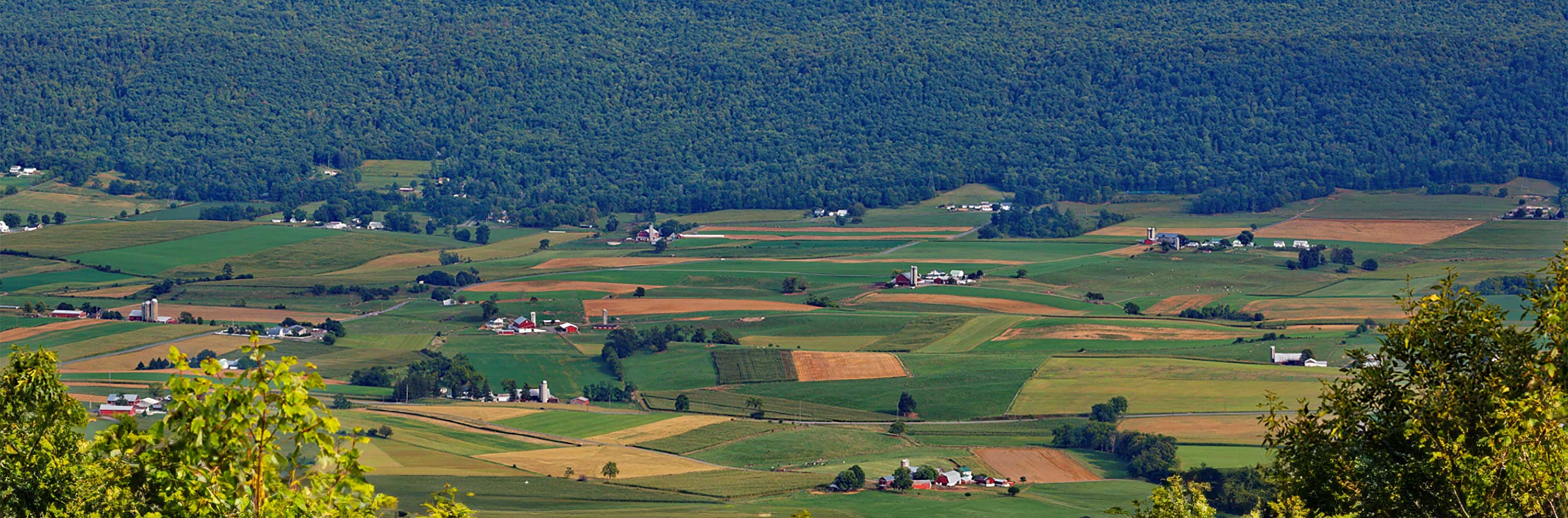 Photo of farms on a countryside