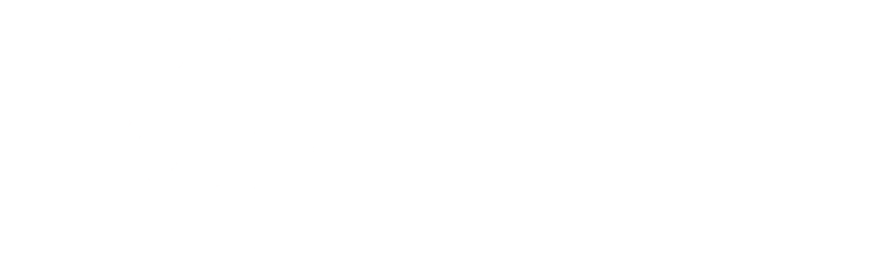 Naylor Publishing logo